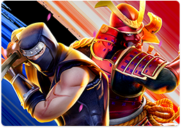 Ninja vs Samurai